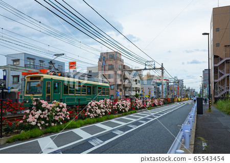 電車和沿線的七彩玫瑰花朵 65543454