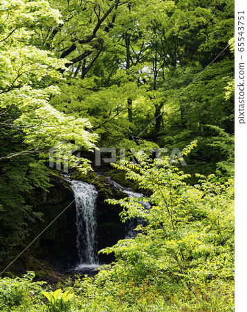 Kaneyama Falls (early summer) Kaneyama Falls (early summer) 65543751