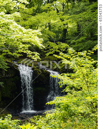 Kaneyama Falls (early summer) Kaneyama Falls (early summer) 65543753