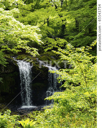 Kaneyama Falls(初夏) Kaneyama Falls(初夏) 65543754