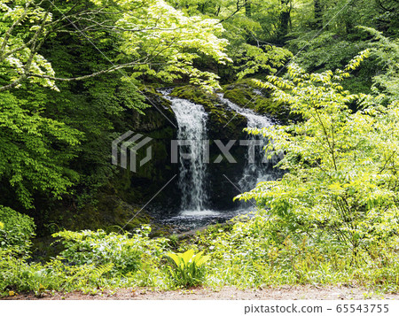 Kaneyama Falls (early summer) Kaneyama Falls (early summer) 65543755