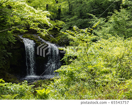 Kaneyama Falls(初夏) Kaneyama Falls(初夏) 65543757