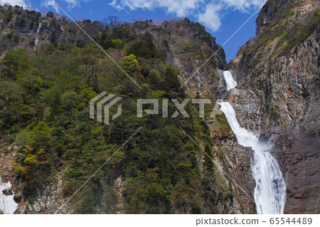 富山/名瀑布 65544489
