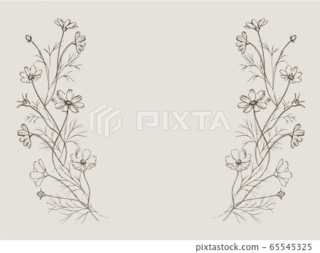 Cosmos decoration pen drawing line drawing line art 65545325