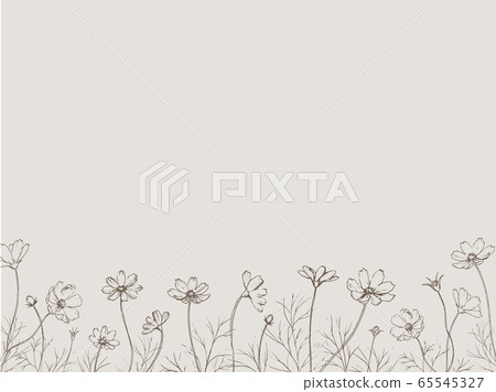 Cosmos field pen drawing line drawing line art 65545327