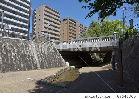 一條橋 65546309