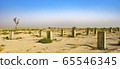 The Desert is the Cradle of Life, Emirates, Oct.2018 65546345