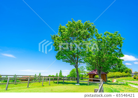 清新的綠色和藍天牧場景觀[愛知縣] 65546421