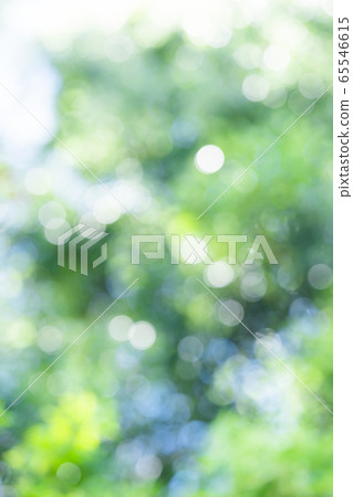 Fresh green blur bokeh 65546615