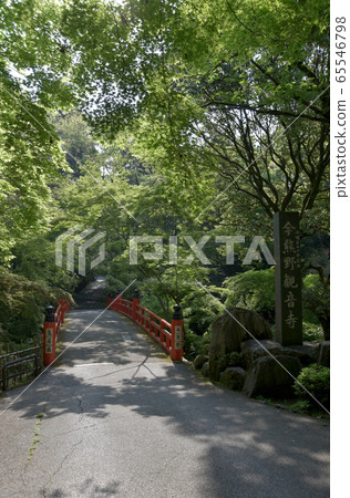 Imakumano Kannon Temple Toriibashi 65546798
