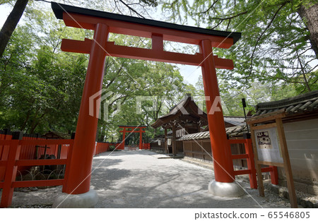 Kawai Shrine torii 65546805