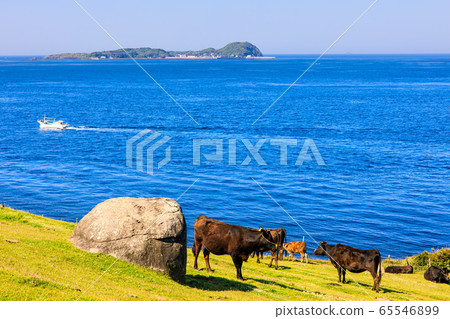 Kabeshima, Suginohara Pasture [Karatsu City, Saga Prefecture] 65546899