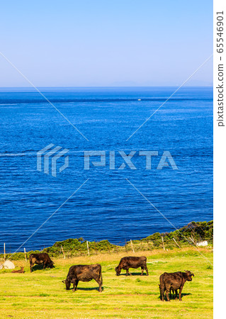 Kabeshima, Suginohara Pasture [Karatsu City, Saga Prefecture] 65546901