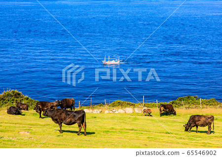 Kabeshima, Suginohara Pasture [Karatsu City, Saga Prefecture] 65546902