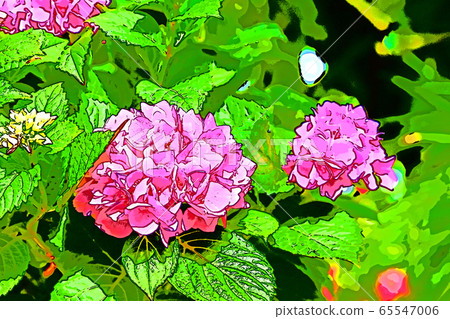 Rose flower garden 65547006