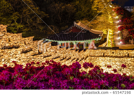 Night view, azalea, Gochang-eupseong, shape, Gochang-gun, Jeonbuk, Korea 65547198