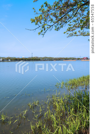 Isanuma Spring Scenery Kawagoe City, Saitama Prefecture Isanuma Spring Scenery Kawagoe City, Saitama Prefecture 65547558