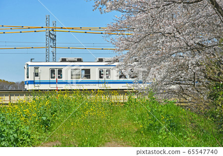 Railway Private Railway: Tobu Railway Tobu Noda Line Tobu Urban Park Line Railway Private Railway: Tobu Railway Tobu Noda Line Tobu Urban Park Line 65547740