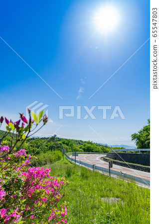 伊豆天際線 伊豆天際線 65547803