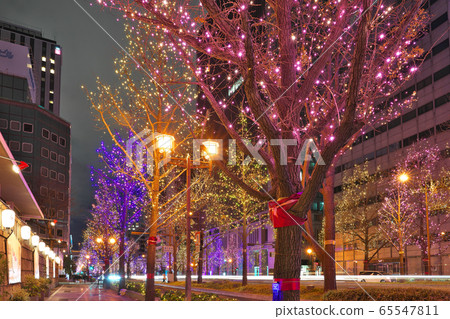 [Midosuji Illumination] Midosuji, Osaka City 65547811