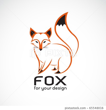 Vector of fox design on white background. Animals. 65548016