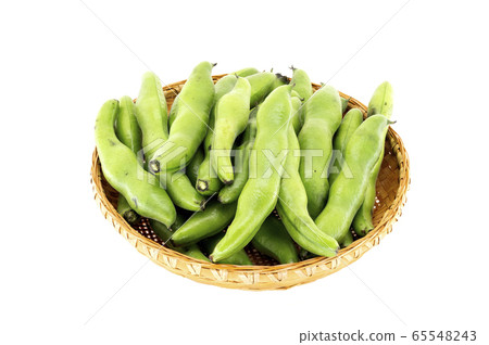 蠶豆 蠶豆 65548243