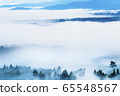 Asagiri grove and mountain range 65548567