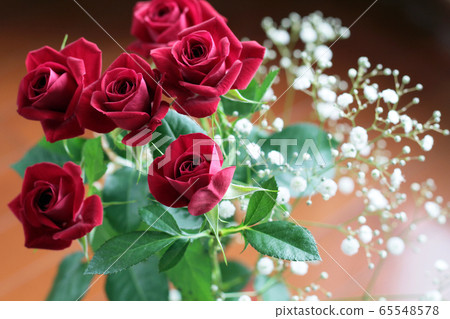 紅玫瑰和滿天星 紅玫瑰和滿天星 65548578