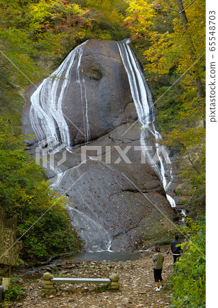 Waterfall of eel 65548703