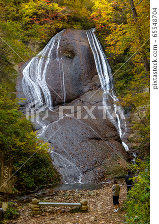 Waterfall of eel 65548704