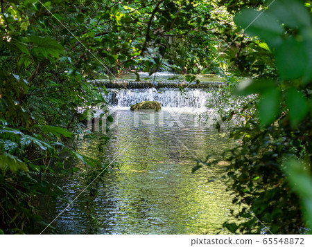 View of rich springs in Minamizawa green space (Higashi Kurume City) 57 famous springs in Tokyo View of rich springs in Minamizawa green space (Higashi Kurume City) 57 famous springs in Tokyo 65548872