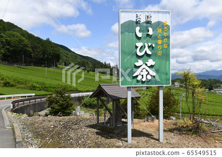 Ibi Tea Tea Field 65549515