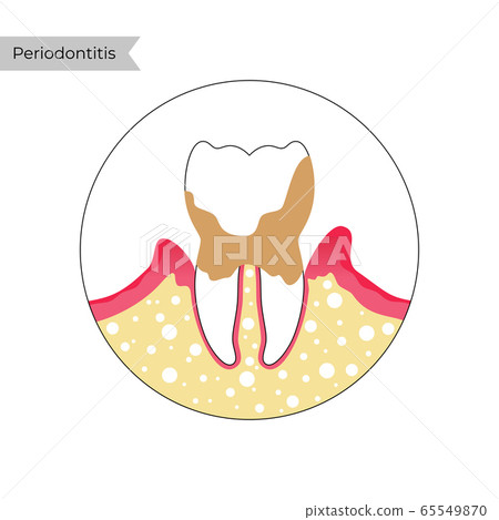 Vector isolated illustration of tooth 65549870