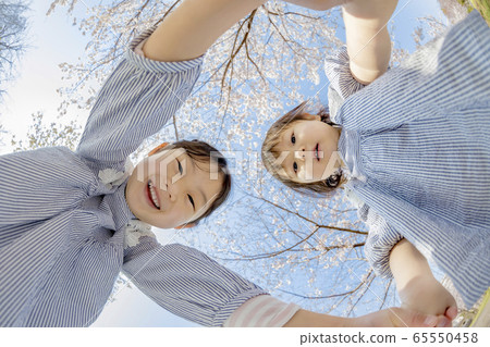 在櫻花公園玩耍的孩子們 65550458