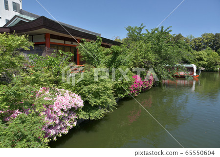 Shinsenen Hoseiju Pond 65550604