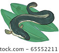 Hand drawn style eel illustration B 65552211