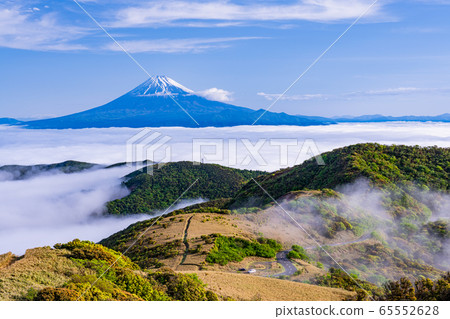 (Shizuoka prefecture) Suruga bay in the sea of clouds, Mt. Fuji morning (Shizuoka prefecture) Suruga bay in the sea of clouds, Mt. Fuji morning 65552628