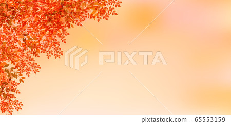 Autumn leaves autumn background Autumn leaves autumn background 65553159