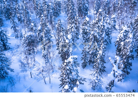 << Hokkaido >> View from Asahi-dake ropeway in mid-winter 65553474