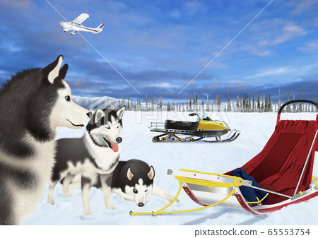 Dog sledding illustration Dog sledding illustration 65553754