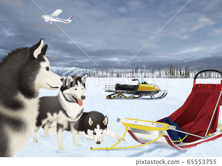 Dog sledding illustration Dog sledding illustration 65553755