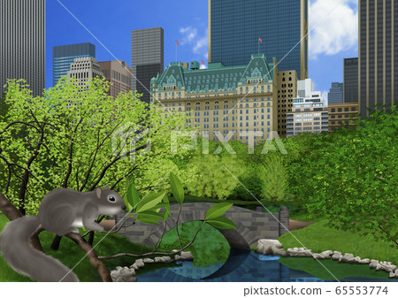 Illustration of central park and squirrel in spring 65553774
