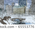 Illustration of Central Park and squirrel in winter 65553776
