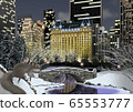 Illustration of Central Park and squirrel in winter 65553777