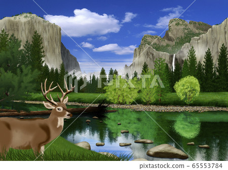 春季優勝美地國家公園景觀中的鹿的插圖 春季優勝美地國家公園景觀中的鹿的插圖 65553784