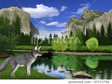 Spring Yosemite National Park landscape and fox image Spring Yosemite National Park landscape and fox image 65553786