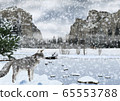 Illustration of a snowy Yosemite National Park landscape and a fox 65553788