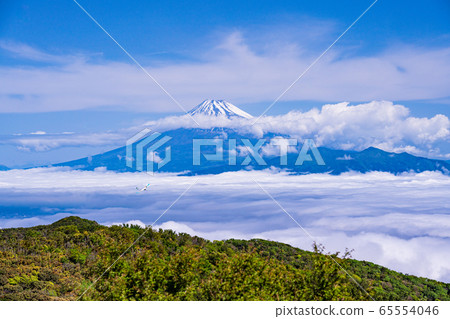 （靜岡縣）富士山，鮮綠色的金科珀，駿河灣的雲海 65554046