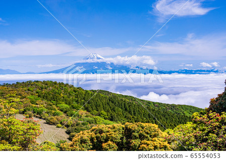 (Shizuoka Prefecture) Mt. Fuji, Mt. (Shizuoka Prefecture) Mt. Fuji, Mt. 65554053