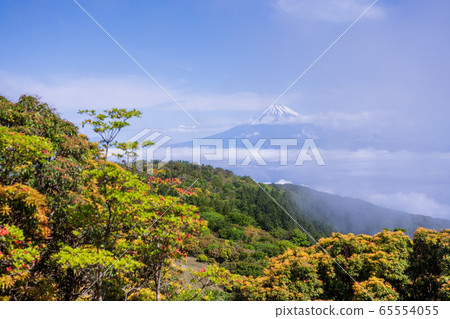 (Shizuoka Prefecture) Mt. Fuji, Mt. 65554055